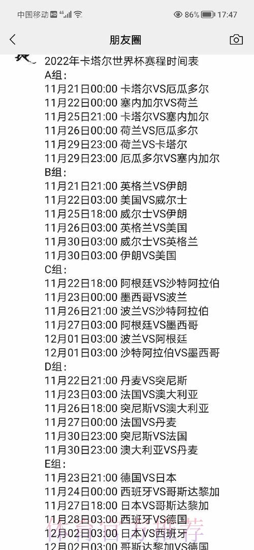 世界杯即时赛况追踪与深度解析