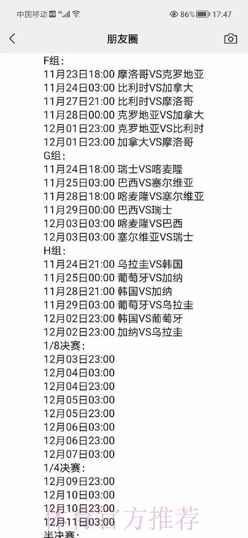 世界杯即时赛况追踪与深度解析