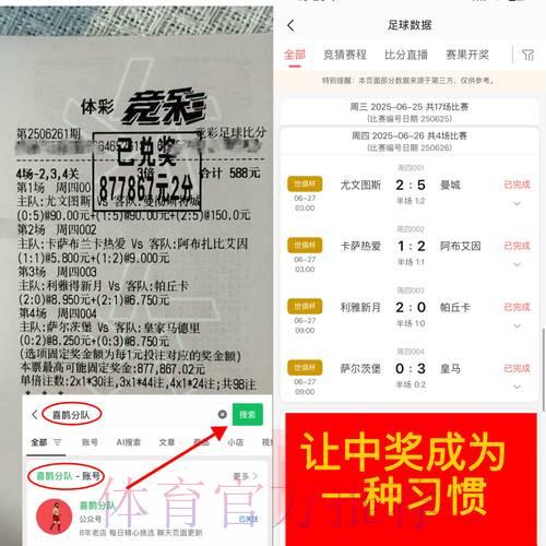 世界杯竞猜攻略：爆冷押注与热门选择哪个更划算？